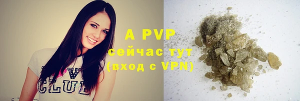 спиды Магадан